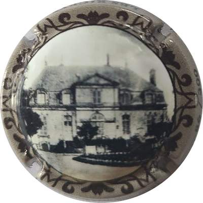 N°41 Château de Arcis sur Aube, 300 expl
Photo Joelle MENNERET
