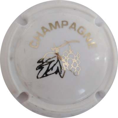 C18 Grappe et feuille, opalis blanc
Photo Jacky MICHEL
