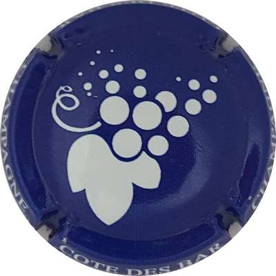 N°20a Bleu et blanc
Photo Joëlle MENNERET
