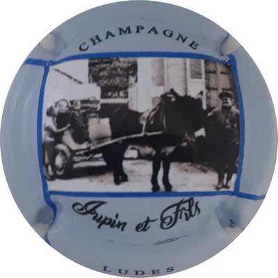 N°01a Série de 5 (attelage), Contour bleu pâle
Photo Patrick PLICHARD
