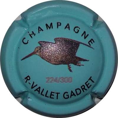 N°08d Bécasse en vol, bleu turquoise
Photo Bruno HEBMANN-GONTIER
