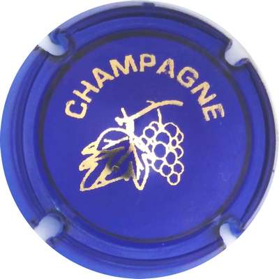 C18 Grappe et feuille, opalis bleu
Photo Jacky MICHEL
