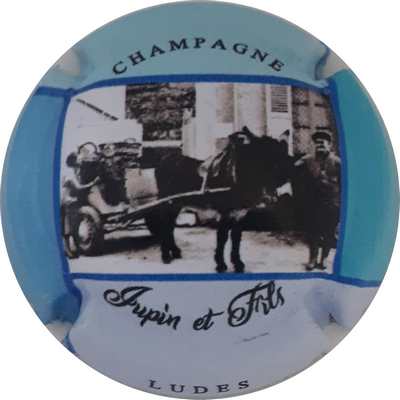 N°01 Série de 5 (attelage), Contour bleu
Photo Patrick PLICHARD
