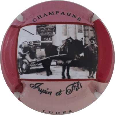 N°01c Série de 5 (attelage), Contour rose
Photo Patrick PLICHARD
