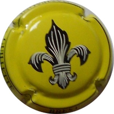 N°020 Fond vert-jaune
Photo LE FAUCHEUR Alexandre
