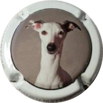 N°04 Série de 12 (Lévrier), N°07 Contour blanc, Lily Belle au verso
Photo GODART Christian
