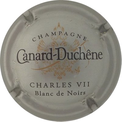 N°076a Fond argent, Charles VII, blanc de noirs
Photo Champ'Alsacollection
