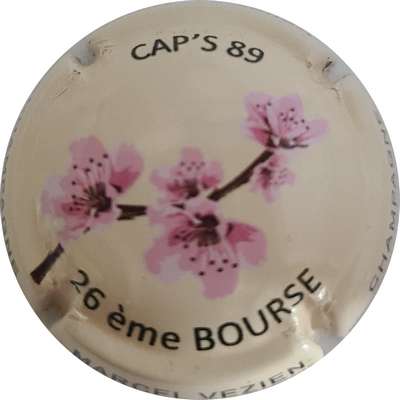 N°264 Cap's 89, 26 ème bourse
Photo Joëlle MENNERET
