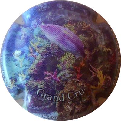 N°31 Série de 6 (Poissons  marins)
Photo VIPCAPS
