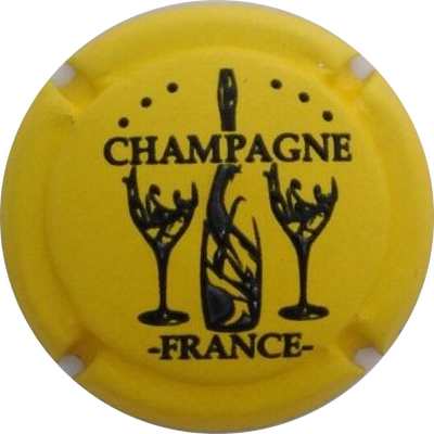 C103c Imprimée en relief, Jaune et noir
Photo Jacky MICHEL
