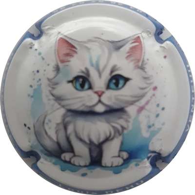 N°404d Chaton, contour bleu
Photo France Marie
