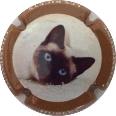 N°08 Série de 6 (Chat) Contour marron
Photo Bruno HEBMANN GONTIER
