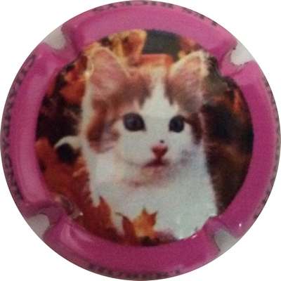 N°08 Série de 6 (Chat) Contour rose foncé
Photo Bruno HEBMANN GONTIER
