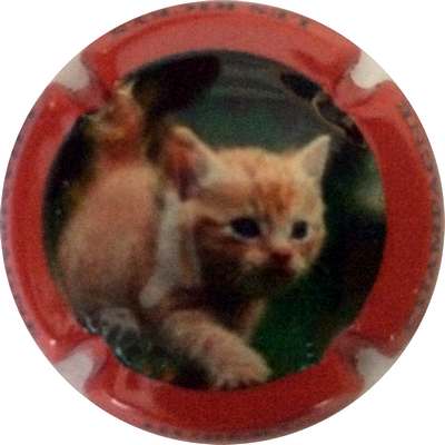 N°08 Série de 6 (Chat) Contour rouge
Photo Bruno HEBMANN GONTIER
