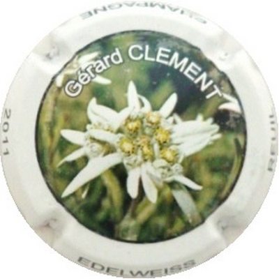 N°45a Edelweiss
Photo J.R.
