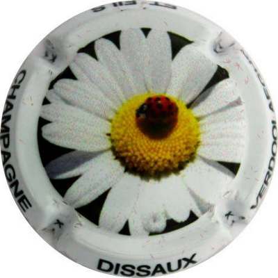 N°09a coccinelle sur marguerite
Photo Alain COUTEAT
