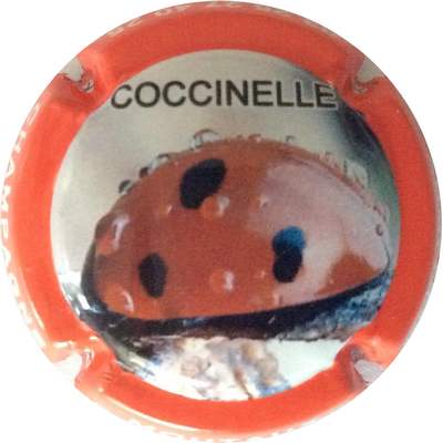 N°20 Coccinelle
Photo Bruno HEBMANN GONTIER
