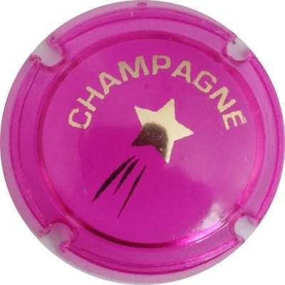 C18 Comète 3 queues, opalis fuchsia
Photo Jacky MICHEL
