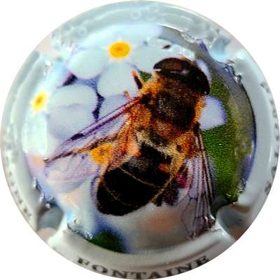 NR Série de 6 (Abeille), contour bleu pâle
Photo Joëlle MENNERET
Mots-clés: NR