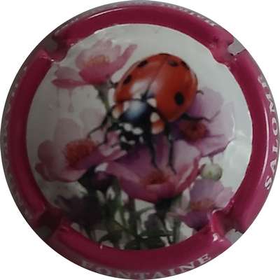 N°NR Série coccinelle, contour rose foncé
Photo Joëlle MENNERET
Mots-clés: NR