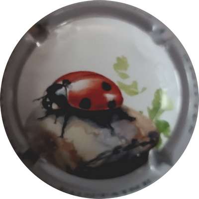 N°NR Série coccinelle, contour gris
Photo Joëlle MENNERET
Mots-clés: NR