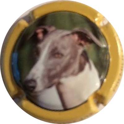 N°04 Série de 12 (Lévrier), N°04, contour jaune-orange, jijiblue au verso
Photo Christian GODART
