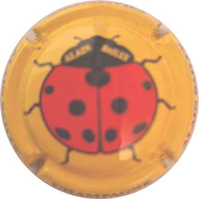N°42j Jaune et noir, coccinelle avec des pattes
Photo Didier LAMOUR
