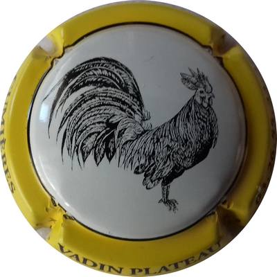 N°29b Coq, contour jaune
Photo Martine BAUDOT
