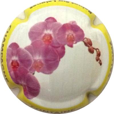 N°07 Série de 6 (Orchidées) contour jaune
Photo Bruno HEBMANN GONTIER
