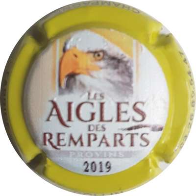 N°05c Aigles des remparts 2019, contour jaune
Photo Pascal DANGLARD
