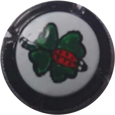 N°08 Coccinelle, en relief
Photo Jean-Baptiste GONSALVES 
