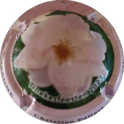 N°23b Fleur, Contour rose
Photo Joëlle MENNERET
