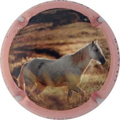N°NR Cheval, contour rose
Photo Joëlle MENNERET
Mots-clés: NR