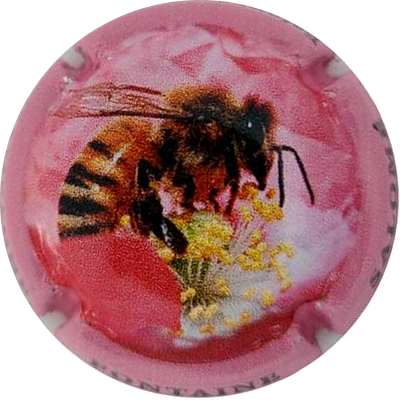 NR Série de 6 (Abeille), contour rose
Photo Joëlle MENNERET
Mots-clés: NR