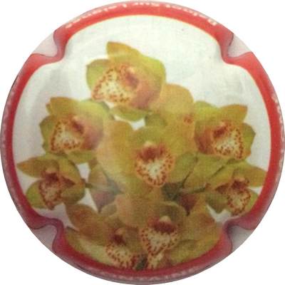 N°07 Série de 6 (Orchidées) contour rouge
Photo Bruno HEBMANN GONTIER
