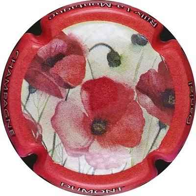 N°07a Fleurs, contour rouge
Photo Bernard GAXATTE
