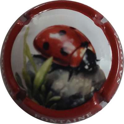 N°NR Série coccinelle, contour rouge
Photo Joëlle MENNERET
Mots-clés: NR