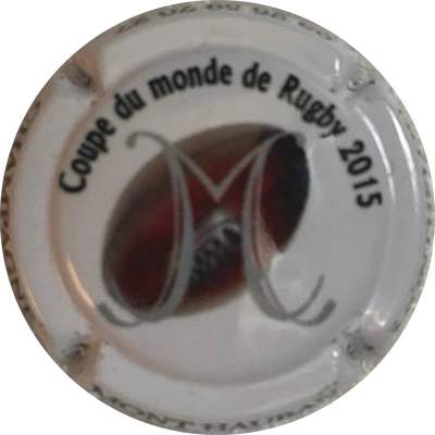N°021i Coupe du monde de rugby 2015
Photo Alexis GAVARD
