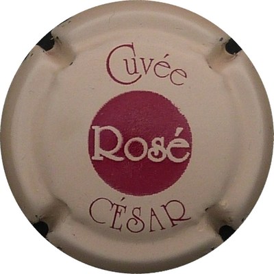 N°08x Cuvée César rosé, fond crème
Photo BENEZETH Louis
Mots-clés: NR