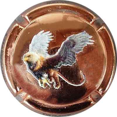 N°05x Cuivre
Photo Paul COSPAR
