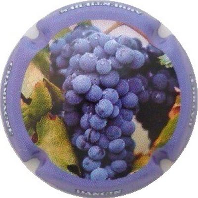 N°13 Série de 6 (domaine), contour violet
Photo J.R.
