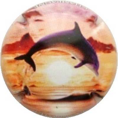 C39 Dauphin, série de 2 
Photo J.R.
