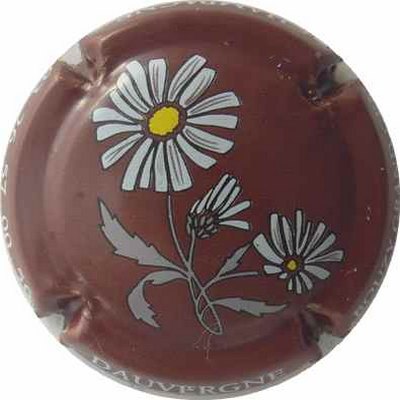 N°04g Marron
Photo THIERRY Jacques
