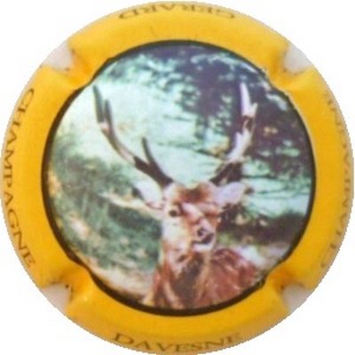 N°03 Série de 5 (cerf), contour jaune
Photo J.R.
