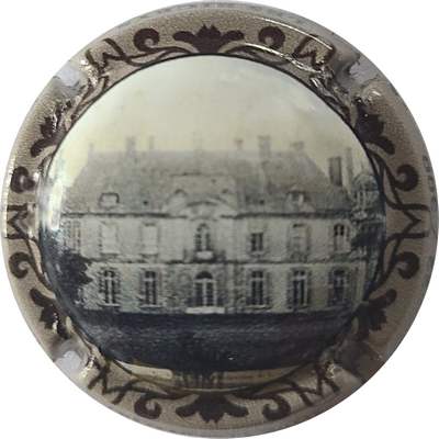 N°41a Château De la motte, 300 expl
Photo Joelle MENNERET
