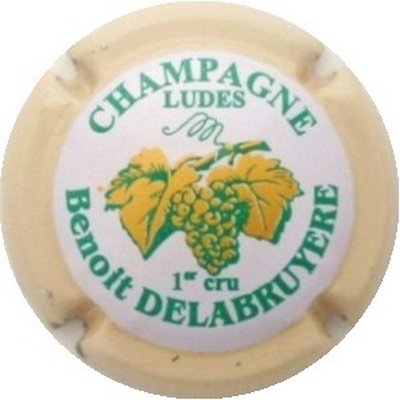 N°05 Série de 6, grappe, contour crème
Photo J.R.
