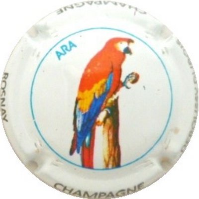 N°09 série de 6 (oiseaux), Ara
Photo J.R.
