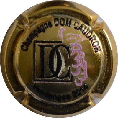 N°03 2014 Vendanges, fond or
Photo Vincent LOUVET
