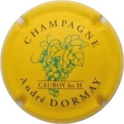 N°03 Série de 6, grappe, Fond jaune, grappe verte
Photo J.R.
