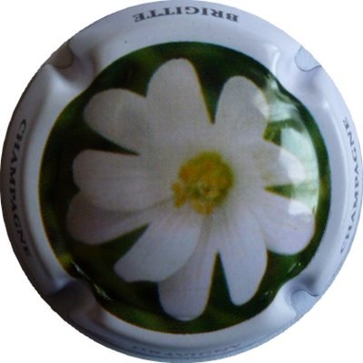 N°02 Série de 6 (Fleurs) contour blanc
Photo DAMIANI Bruno
